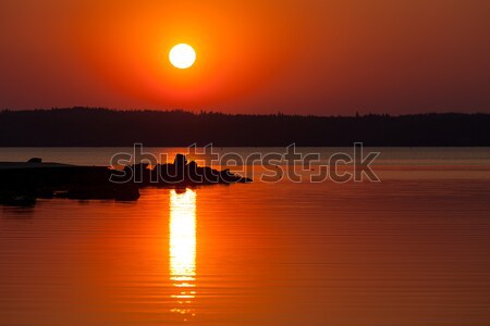 Dynamique coucher du soleil silhouette plage fin Photo stock © Juhku