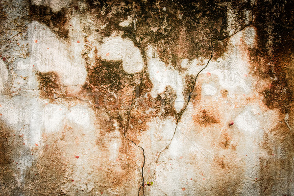 Unordentlich konkrete Wand Textur malen Stein Stock foto © Juhku