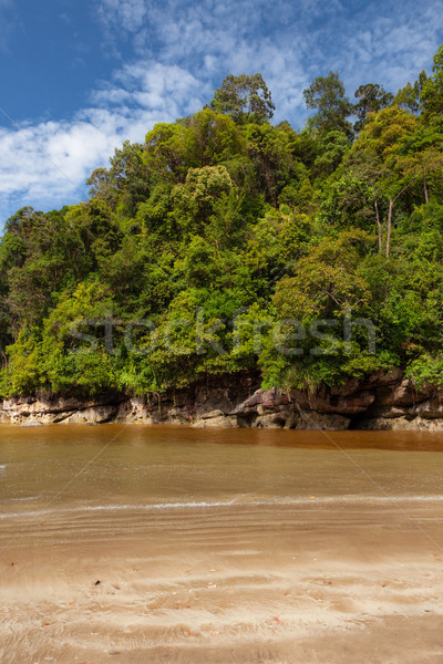 Stock fotó: Sűrű · dzsungel · kék · ég · domb · víz · erdő