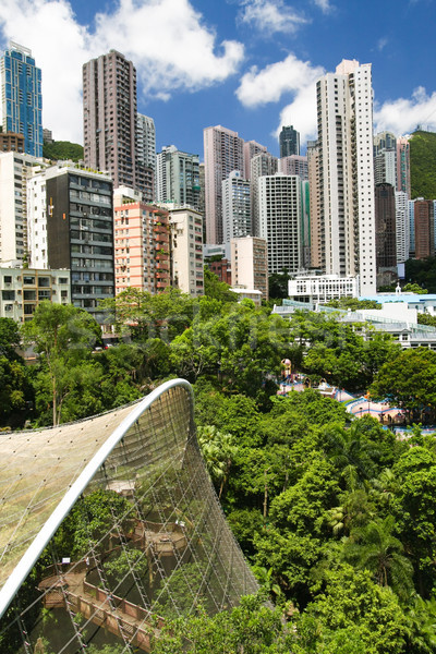 Aerial view over hong kong park Stock photo © Juhku