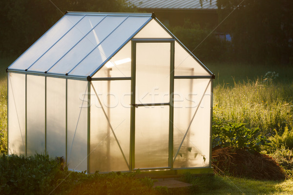 Small greenhouse in backyard Stock photo © Juhku