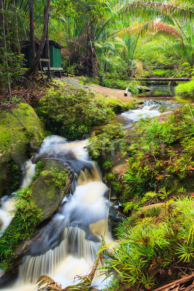 小 瀑布 叢林 公園 馬來西亞 婆羅洲 商業照片 © Juhku