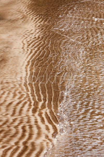 Natural sand patterns in beach Stock photo © Juhku