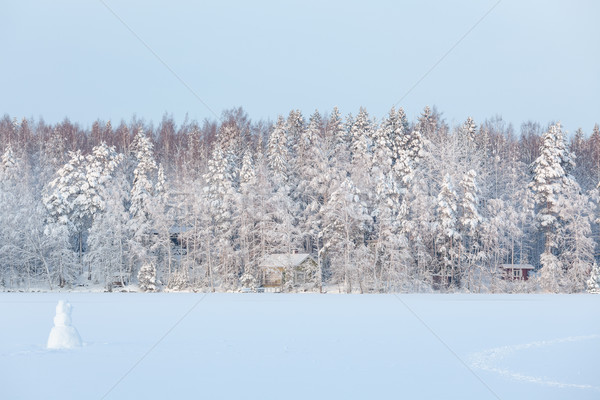 Invierno lago paisaje Finlandia puesta de sol Foto stock © Juhku