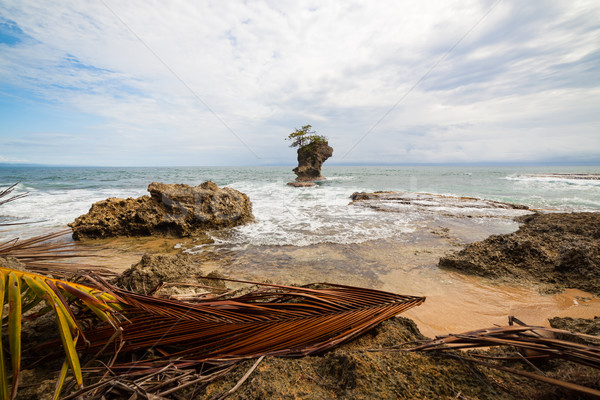 Plage Costa Rica Rock ciel feuille Palm [[stock_photo]] © Juhku