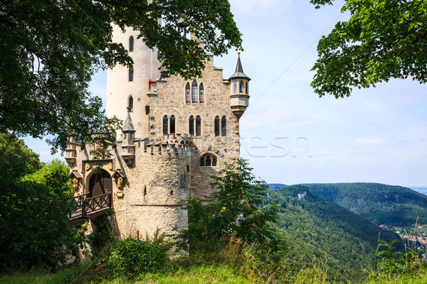 Lichtenstein castle behind trees Stock photo © Juhku