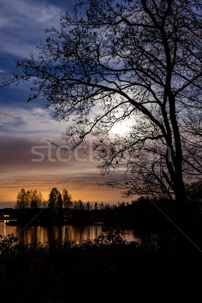 éjszaka tájkép felhős csillagos ég hold égbolt Stock fotó © Juhku