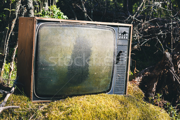 Eski analog televizyon orman terkedilmiş çim Stok fotoğraf © Juhku