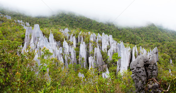 Piatra de var parc formare borneo Malaezia pădure Imagine de stoc © Juhku