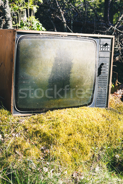 Foto stock: Velho · análogo · televisão · floresta · abandonado · grama