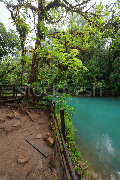 Zdjęcia stock: Rio · bujny · Rainforest · parku · Kostaryka · wody