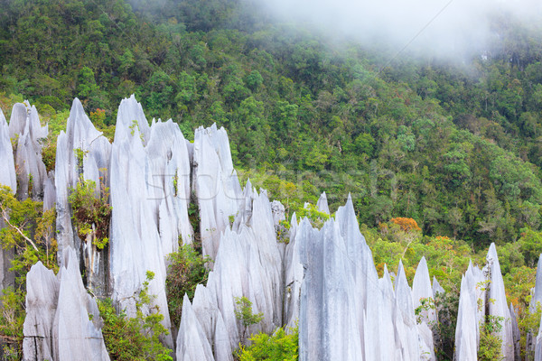 [[stock_photo]]: Calcaire · parc · formation · bornéo · Malaisie · forêt