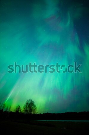 Northern lights aurora borealis landscape Stock photo © Juhku