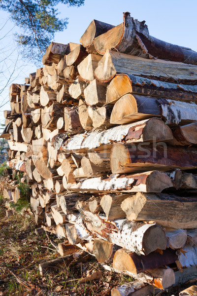 Firewood pile stored outside Stock photo © Juhku