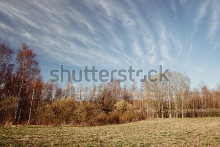 Lange Wolken Landschaft Himmel blau Wind Stock foto © Juhku