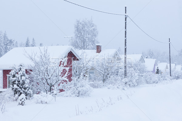 Small cottages covered in snow Stock photo © Juhku