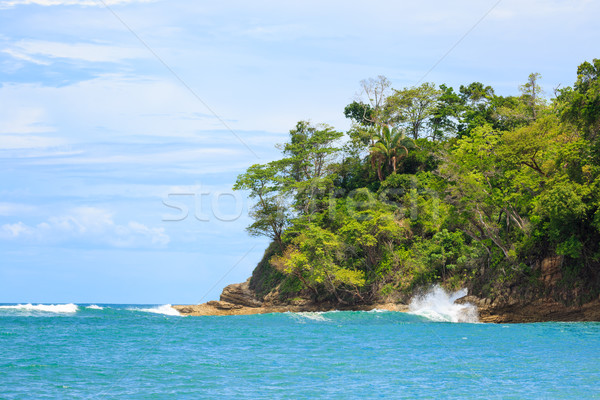 Oceano floresta penhasco água mar azul Foto stock © Juhku