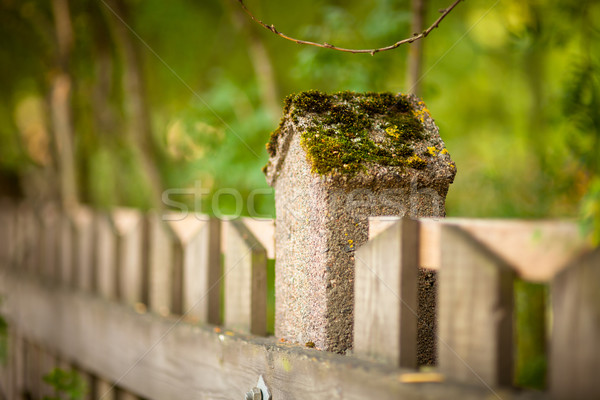 [[stock_photo]]: Pierre · clôture · floue · forêt · naturelles · mur