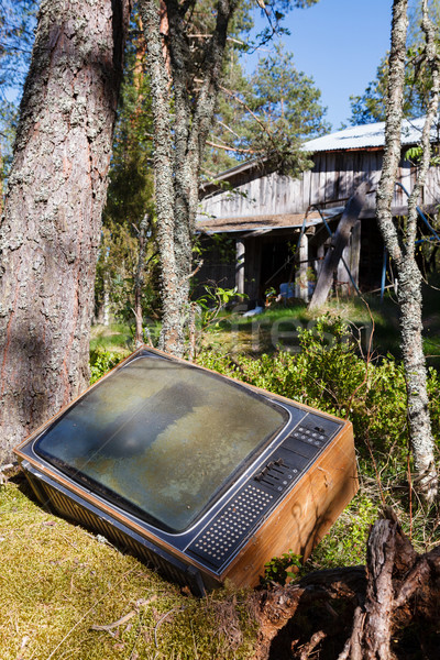 Stok fotoğraf: Eski · analog · televizyon · orman · terkedilmiş · doğa