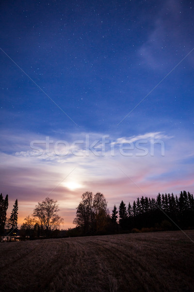 Stock photo: Night landscape and cloudy starry sky