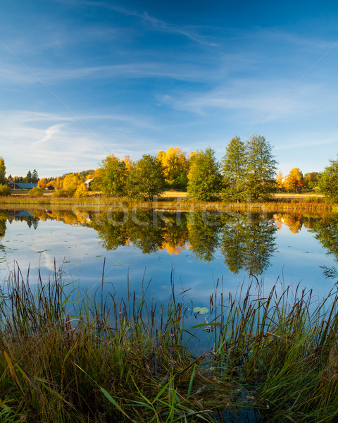 Calm water autumn nature reflection Stock photo © Juhku