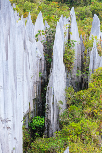 [[stock_photo]]: Calcaire · parc · formation · bornéo · Malaisie · paysage
