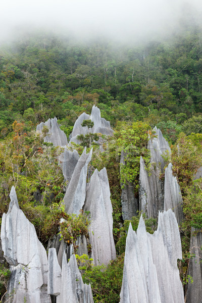 Mészkő park képződmény Borneo Malajzia erdő Stock fotó © Juhku