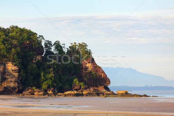 Tropikalnej plaży niski fala Świt parku borneo Zdjęcia stock © Juhku