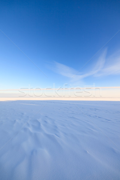 Frozen lake scape and blue sky Stock photo © Juhku