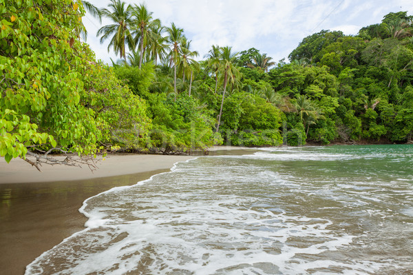 Praia Costa Rica areia árvores floresta natureza Foto stock © Juhku