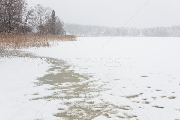 Kar fırtınası kış manzara dondurulmuş göl Finlandiya Stok fotoğraf © Juhku