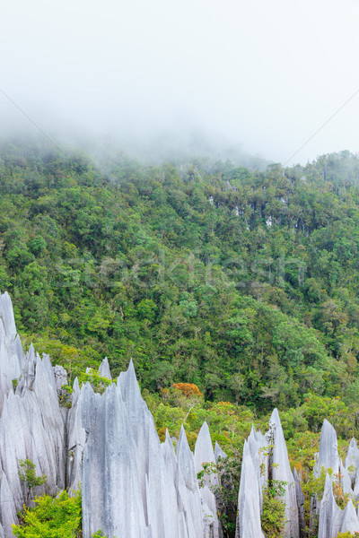 Calcare parco formazione borneo Malaysia nubi Foto d'archivio © Juhku