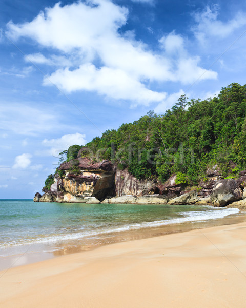 Exotic sand beach and cliffs with forest Stock photo © Juhku
