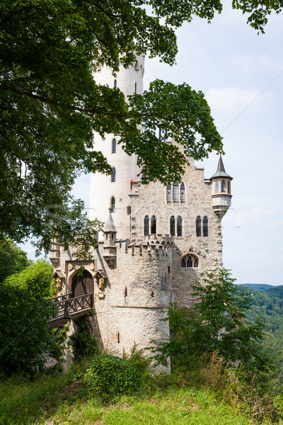 Lichtenstein castle behind trees Stock photo © Juhku