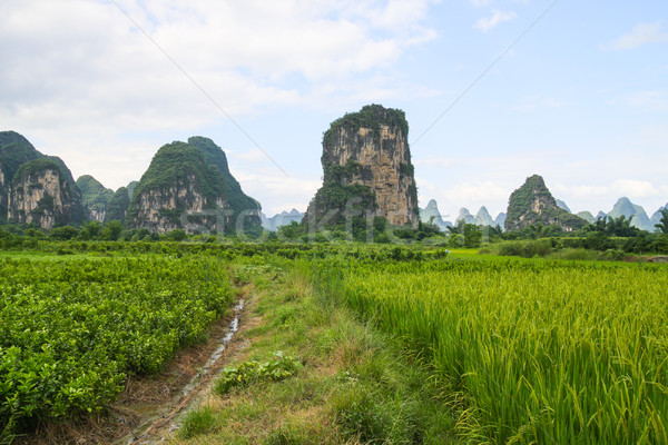Karst mountains landscape in southern china  Stock photo © Juhku
