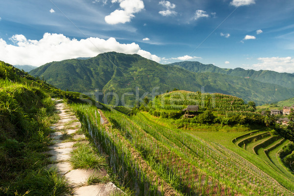 Stock photo: Longsheng rice terraces guilin china landscape