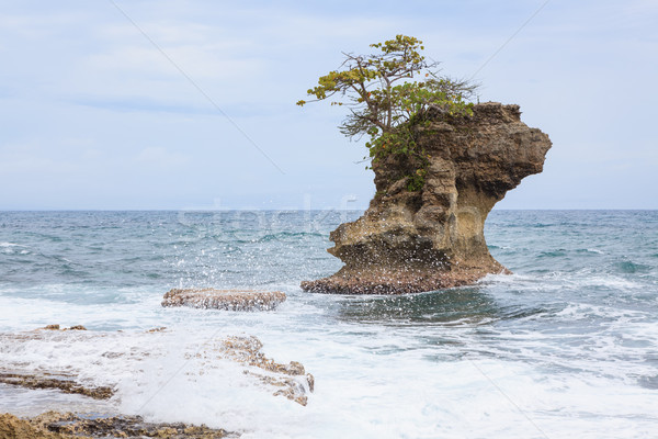 Rotsformatie strand caribbean kust landschap oceaan Stockfoto © Juhku