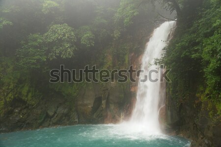 Rio waterval mistig dag park Costa Rica Stockfoto © Juhku