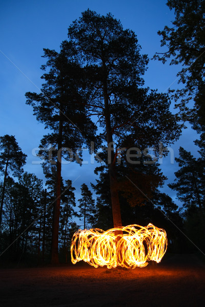 Brand bos nacht boom abstract natuur Stockfoto © Juhku