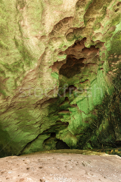 Cave roof in niah national park Stock photo © Juhku
