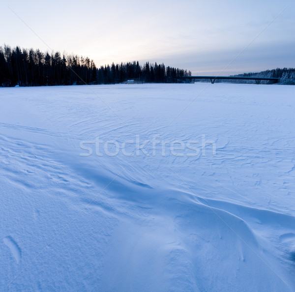 Wind snow pattern background Stock photo © Juhku