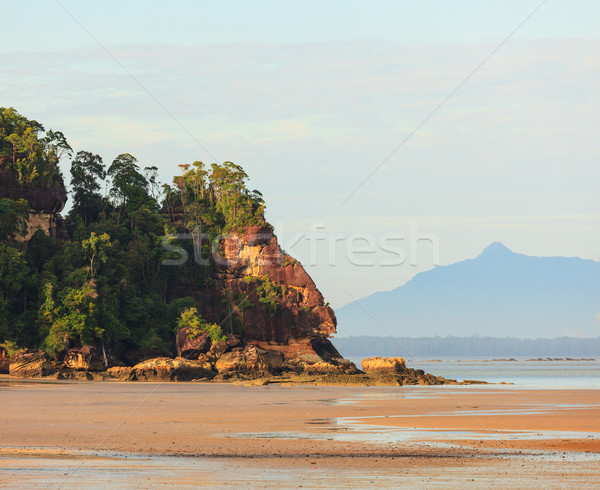 Trópusi tengerpart alacsony árapály napfelkelte park Borneo Stock fotó © Juhku