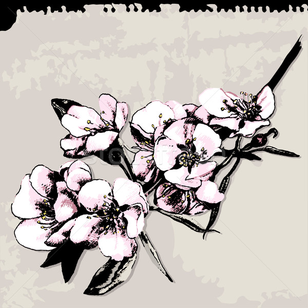 Mela fiore grunge ramo foglia Foto d'archivio © jul-and