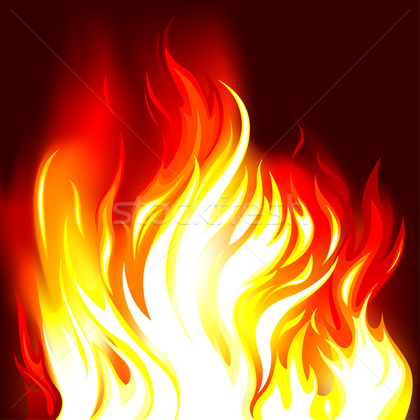 Tűz lángok szerkeszthető absztrakt terv narancs Stock fotó © jul-and