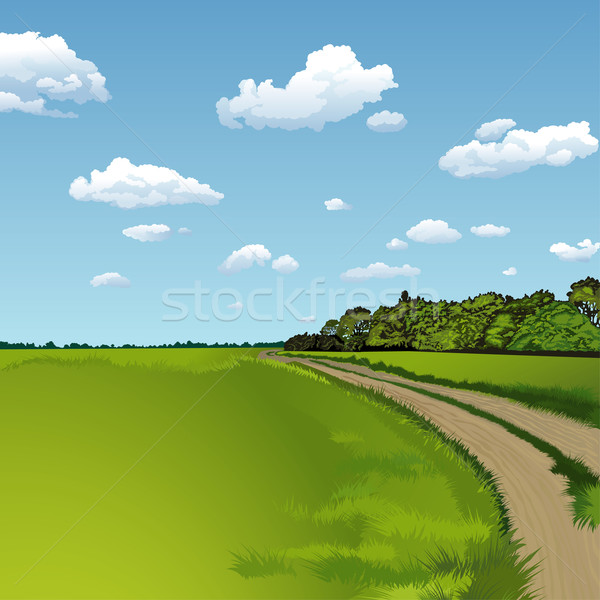 Yol kırsal sahne ayrıntılı düzenlenebilir gökyüzü Stok fotoğraf © jul-and