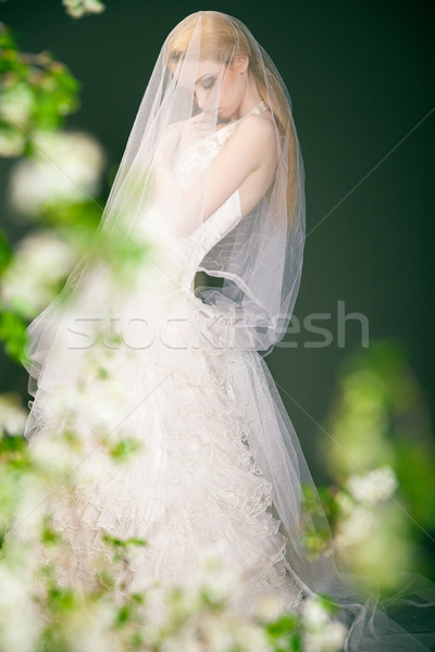 Silhouette of a beautiful thoughtful bride. Stock photo © julenochek