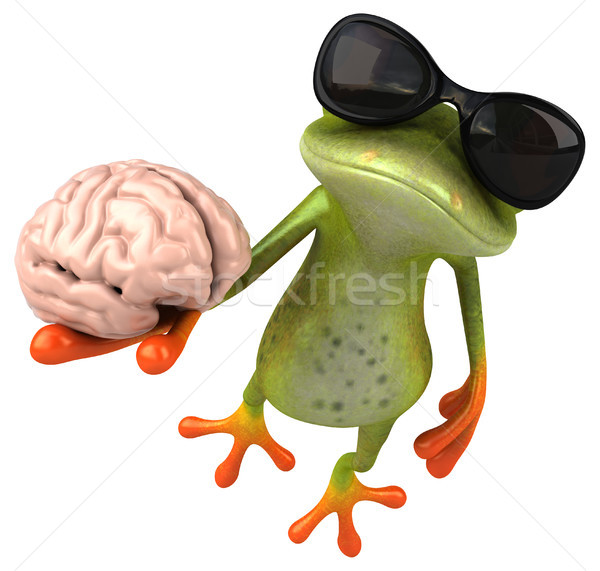 樂趣 青蛙 眼 性質 大腦 情感 商業照片 © julientromeur
