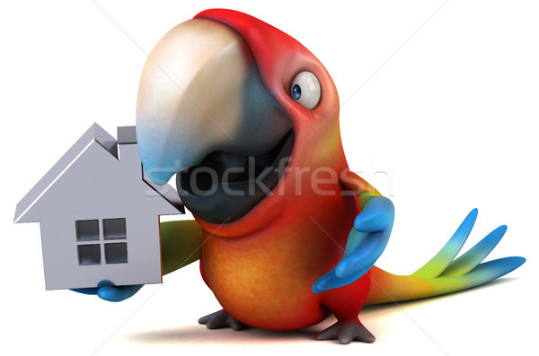 Distracţie papagal ochi acasă pasăre verde Imagine de stoc © julientromeur