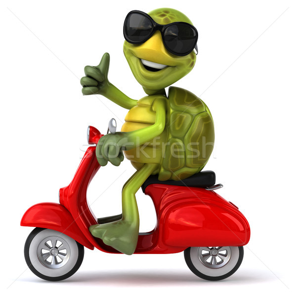 Diversão tartaruga bicicleta retro máquina tropical Foto stock © julientromeur