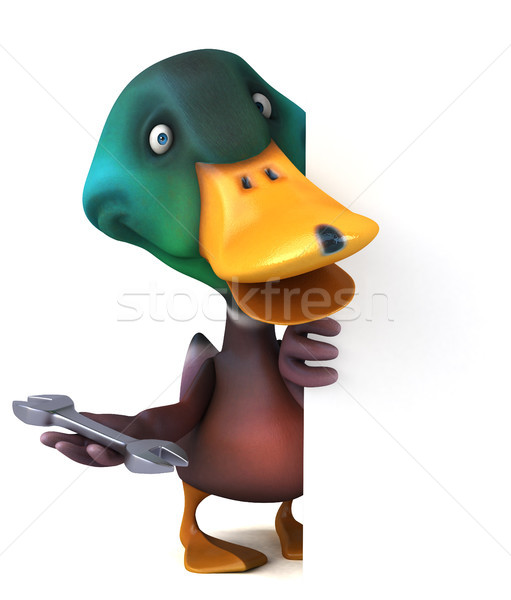 Stock photo: Duck